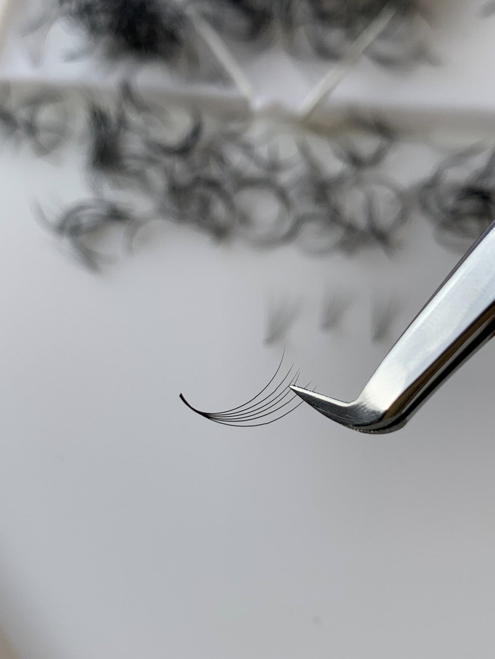 Eyelashes 6D