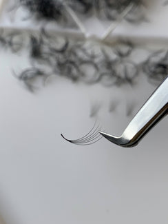 Eyelashes 6D